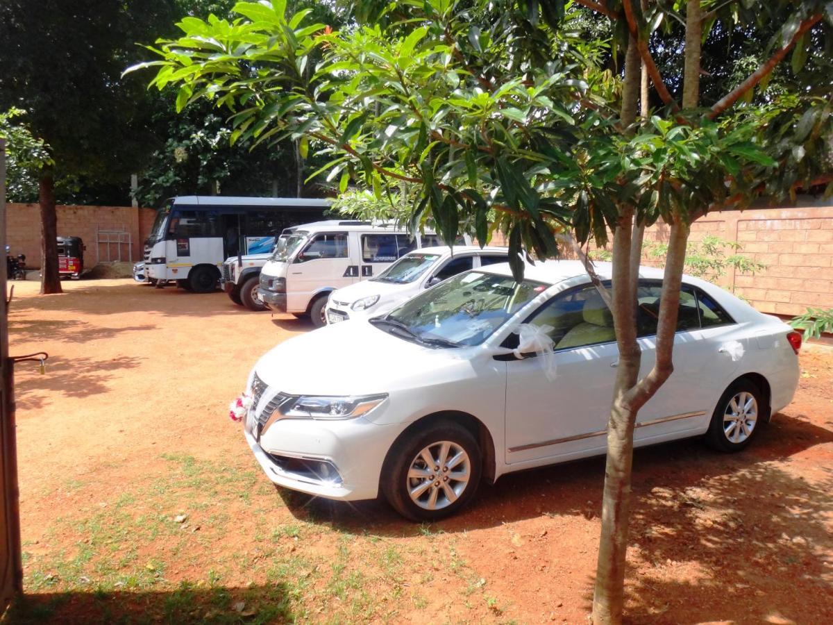 Honey Tree Polonnaruwa Hotel Eksteriør billede